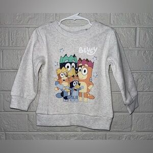 NWT BLUEY unisex kids sweater sz 2T ✨